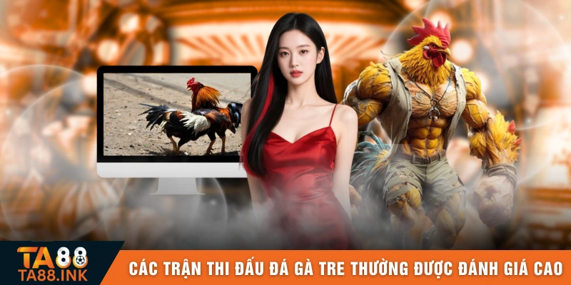 Các trận thi đấu đá gà tre thường được đánh giá cao 