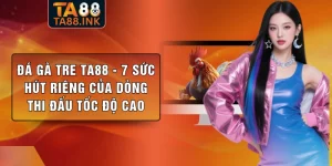 Đá Gà Tre TA88 - 7 Sức Hút Riêng Của Dòng Thi Đấu Tốc Độ Cao
