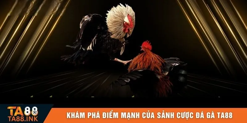 Khám phá điểm mạnh của sảnh cược đá gà TA88